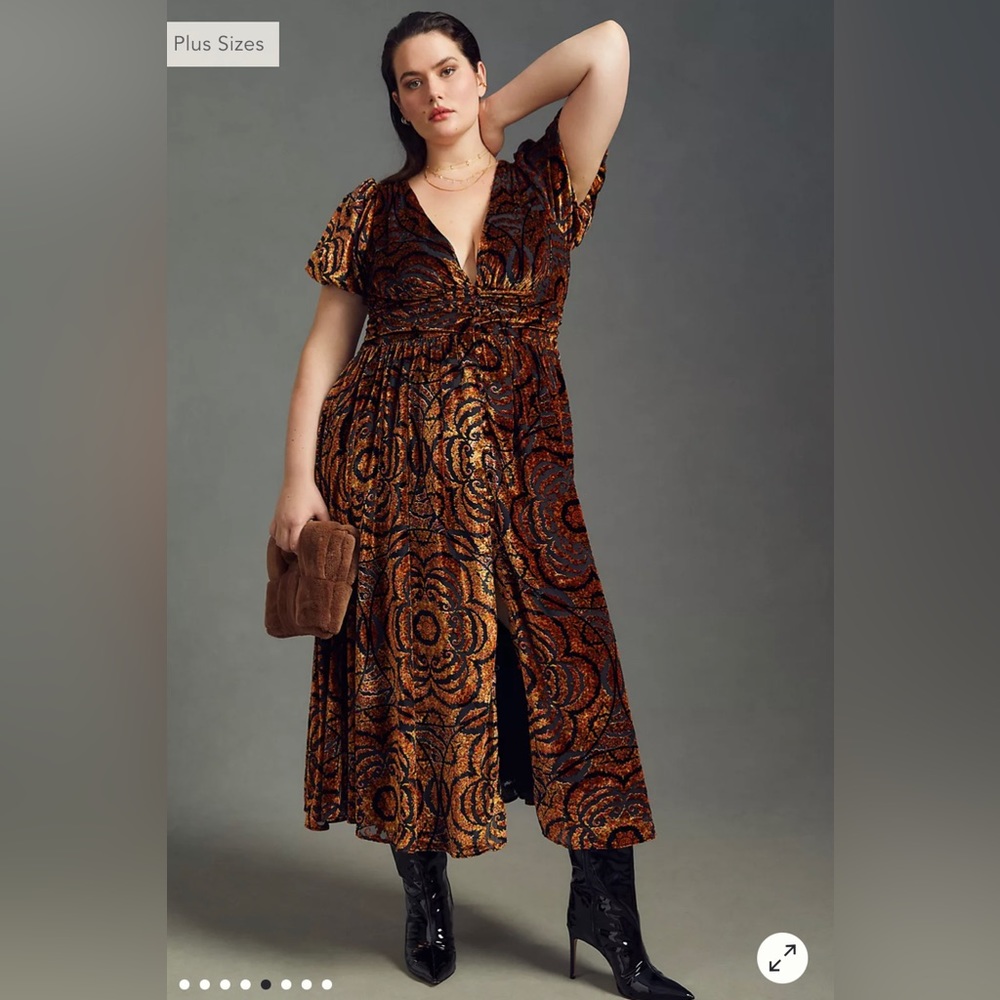 ISO Anthropologie Velvet Burnout Dress